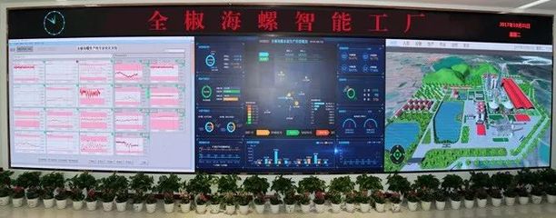 海螺集团推广“无人水泥厂”经验 信息系统集成服务引领行业变革